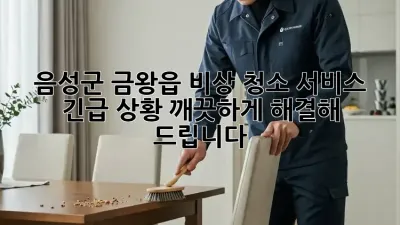 음성군 금왕읍 비상 청소 서비스: 긴급 상황, 깨끗하게 해결해 드립니다!
