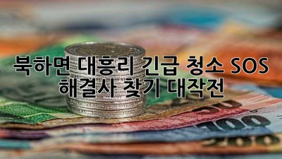북하면 대흥리 긴급 청소 SOS! ✨ 해결사 찾기 대작전