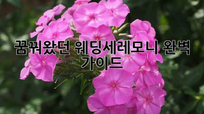 꿈꿔왔던 웨딩세레모니, 완벽 가이드